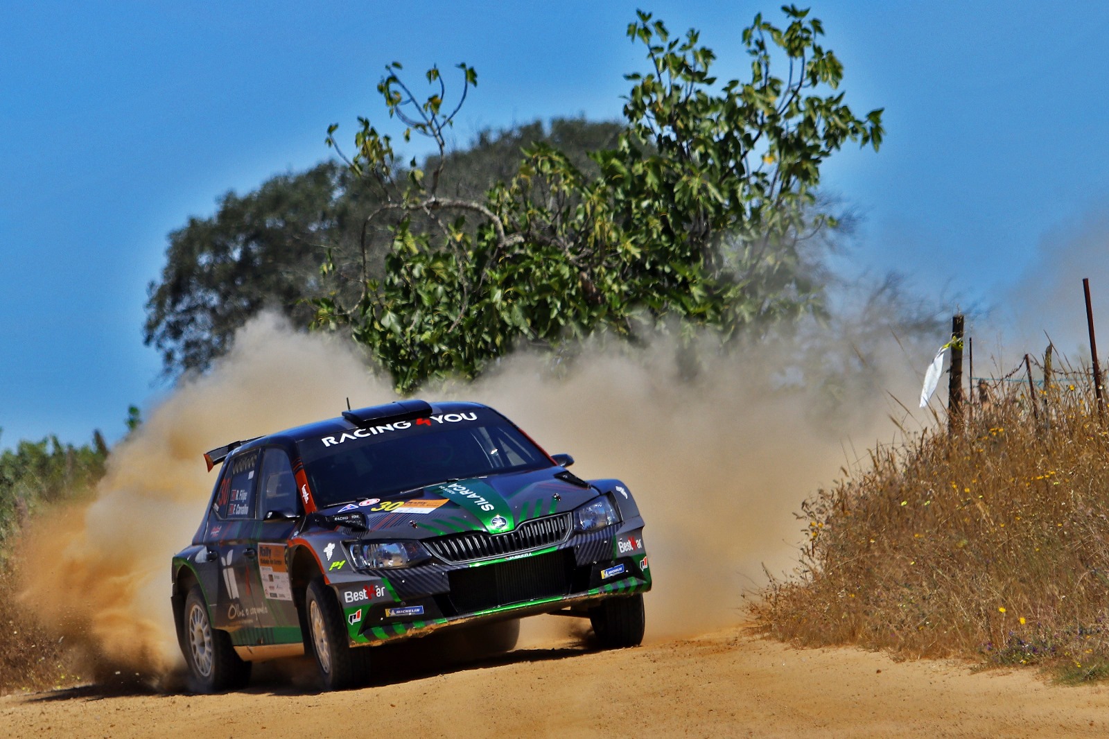 Ricardo Filipe / Filipe Carvalho em Skoda Fabia R5